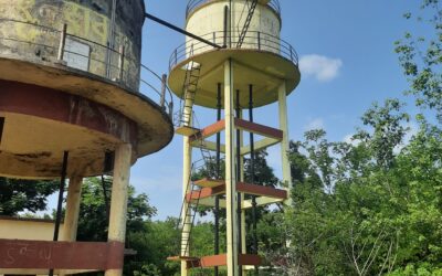 NIPANI