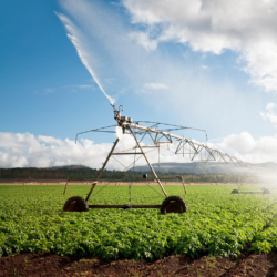 Irrigation Irrigation